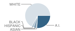 Clara Reynolds Elementary School Student Race Distribution