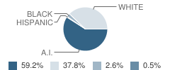 Hartshorne Junior High School Student Race Distribution