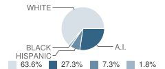 Healdton Middle School Student Race Distribution