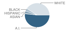 Hilldale Lower Elementary School Student Race Distribution