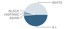 Hilldale Middle School Student Race Distribution