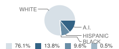 Hinton High School Student Race Distribution