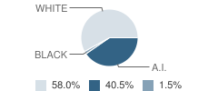 Midway Elementary School Student Race Distribution