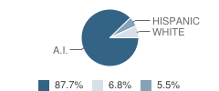 Hodgen Elementary School Student Race Distribution