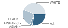 Hugo High School Student Race Distribution