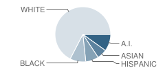 Jenks Middle School Student Race Distribution