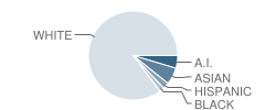 Southeast Elementary School Student Race Distribution