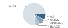 Jones Elementary School Student Race Distribution