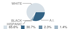 Kellyville High School Student Race Distribution