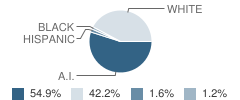 Kingston Middle School Student Race Distribution