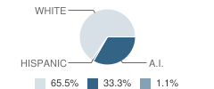 Kiowa High School Student Race Distribution