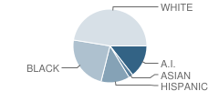 Brockland Elementary School Student Race Distribution