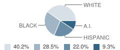 Cleveland Elementary School Student Race Distribution