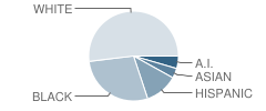 Woodland Hills Elementary School Student Race Distribution