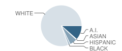 Lexington High School Student Race Distribution