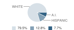 Lone Wolf Jr-Sr High School Student Race Distribution