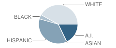 Madill Elementary School Student Race Distribution