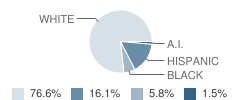 Mangum High School Student Race Distribution