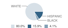 Mangum Junior High School Student Race Distribution