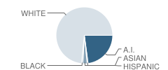 Mannford High School Student Race Distribution