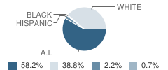 Mason Elementary School Student Race Distribution