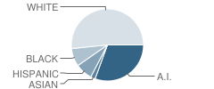 Will Rogers Elementary School Student Race Distribution