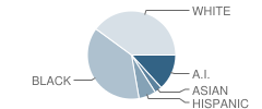 Del City High School Student Race Distribution