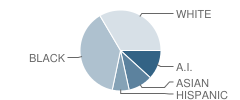 Parkview Elementary School Student Race Distribution