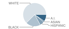 Sooner-Rose Elementary School Student Race Distribution