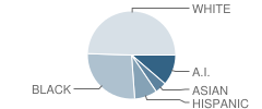 Townsend Elementary School Student Race Distribution