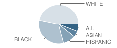 Tinker Elementary School Student Race Distribution