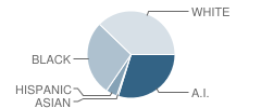 Moffett Elementary School Student Race Distribution