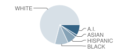 Winding Creek Elementary School Student Race Distribution