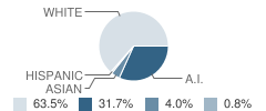 Morrison High School Student Race Distribution