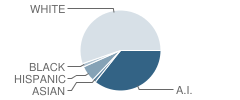 Muldrow High School Student Race Distribution