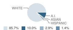 Ninnekah Junior High School Student Race Distribution