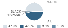 Okay Elementary School Student Race Distribution