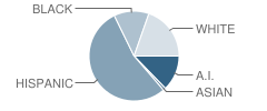 Arthur Elementary School Student Race Distribution