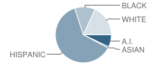 U. S. Grant High School Student Race Distribution