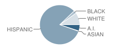 Heronville Elementary School Student Race Distribution