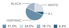 Madison Elementary School Student Race Distribution