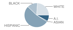 Prairie Queen Elementary School Student Race Distribution