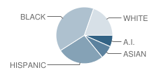 Putnam Heights Elementary School Student Race Distribution