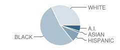 Ridgeview Elementary School Student Race Distribution