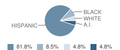 Shidler Elementary School Student Race Distribution