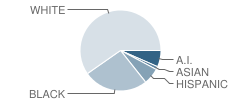 Wilson Elementary School Student Race Distribution