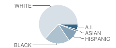 Nichols Hills Elementary School Student Race Distribution