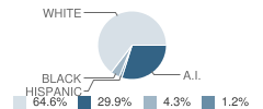 Paden Elementary School Student Race Distribution