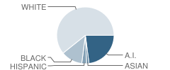 Paden High School Student Race Distribution