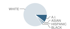Pocola High School Student Race Distribution